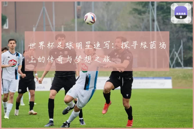 世界杯足球明星速写：探寻绿茵场上的传奇与梦想之旅