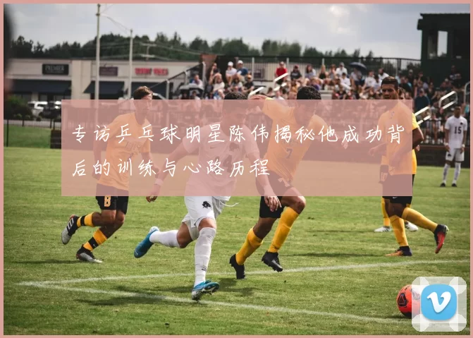 专访乒乓球明星陈伟揭秘他成功背后的训练与心路历程