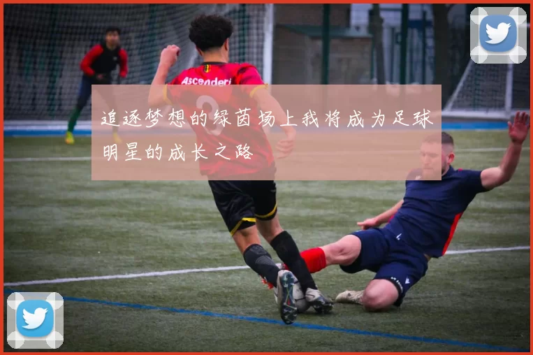 追逐梦想的绿茵场上我将成为足球明星的成长之路