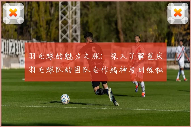 羽毛球的魅力之旅：深入了解重庆羽毛球队的团队合作精神与训练秘辛