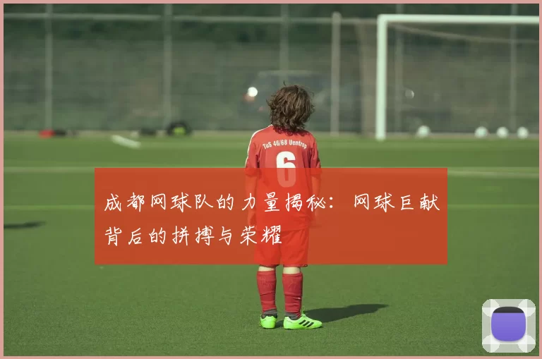 成都网球队的力量揭秘：网球巨献背后的拼搏与荣耀