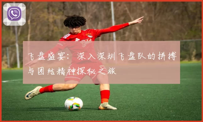 飞盘盛宴：深入深圳飞盘队的拼搏与团结精神探秘之旅