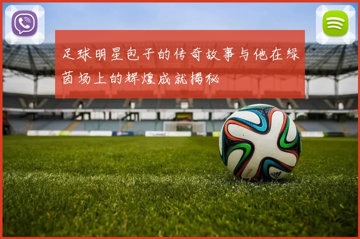 足球明星包子的传奇故事与他在绿茵场上的辉煌成就揭秘
