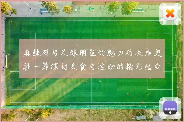 麻辣鸡与足球明星的魅力对决谁更胜一筹探讨美食与运动的精彩结合