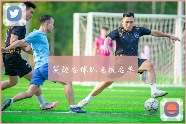 英超各球队老板名单