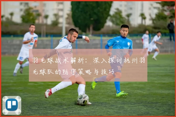羽毛球战术解析：深入探讨杭州羽毛球队的防守策略与技巧