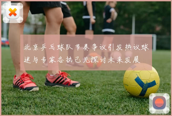 北京乒乓球队节奏争议引发热议球迷与专家各执己见探讨未来发展