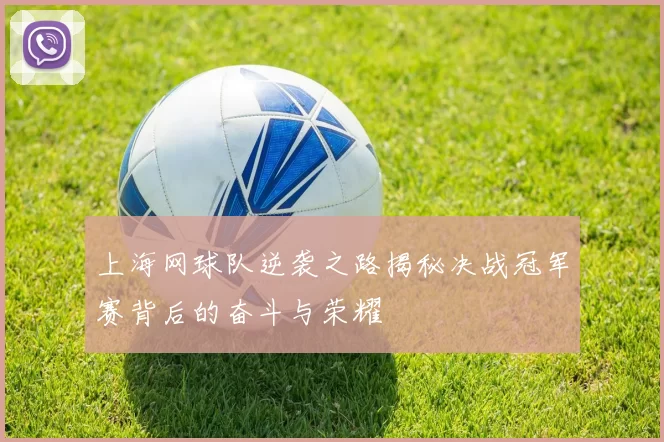 上海网球队逆袭之路揭秘决战冠军赛背后的奋斗与荣耀