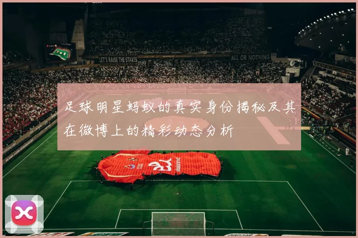 足球明星蚂蚁的真实身份揭秘及其在微博上的精彩动态分析