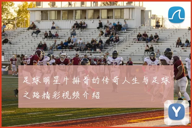 足球明星牛排哥的传奇人生与足球之路精彩视频介绍