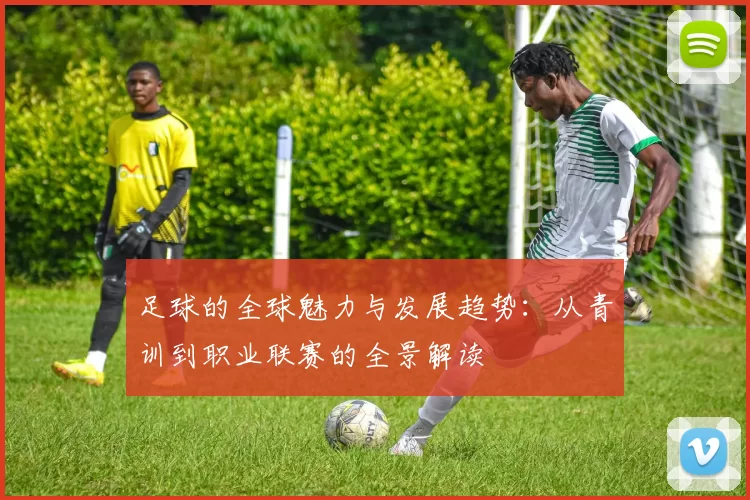 足球的全球魅力与发展趋势：从青训到职业联赛的全景解读