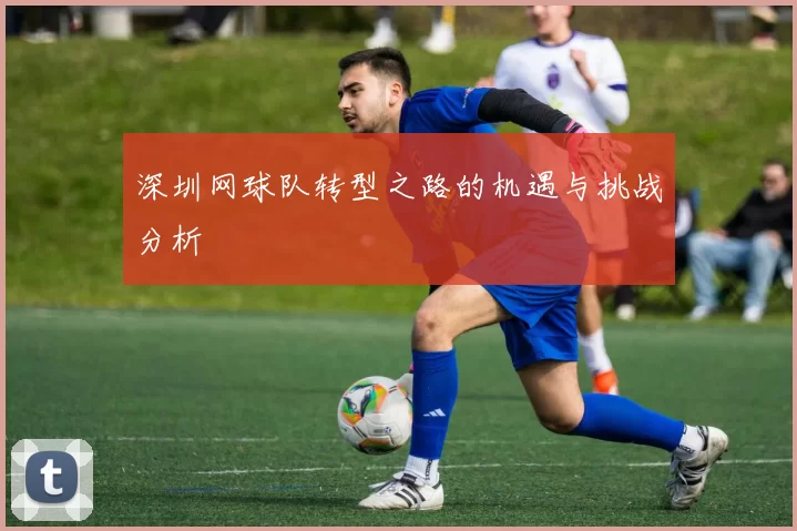 深圳网球队转型之路的机遇与挑战分析