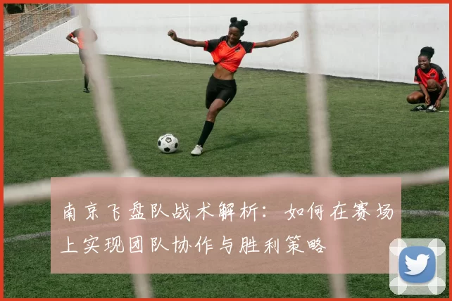 南京飞盘队战术解析：如何在赛场上实现团队协作与胜利策略