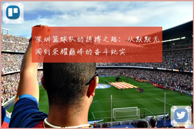 深圳篮球队的拼搏之路：从默默无闻到荣耀巅峰的奋斗纪实