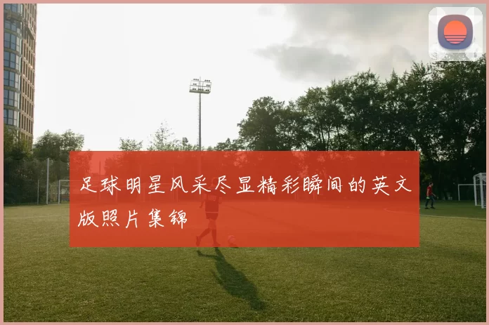 足球明星风采尽显精彩瞬间的英文版照片集锦