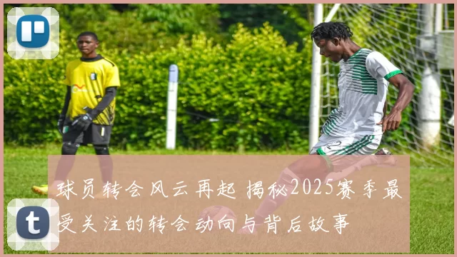 球员转会风云再起 揭秘2025赛季最受关注的转会动向与背后故事