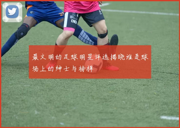 最文明的足球明星评选揭晓谁是球场上的绅士与榜样