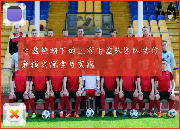 飞盘热潮下的上海飞盘队团队协作新模式探索与实践