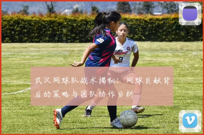 武汉网球队战术揭秘：网球巨献背后的策略与团队协作分析