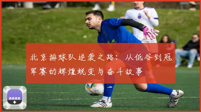北京排球队逆袭之路：从低谷到冠军赛的辉煌蜕变与奋斗故事