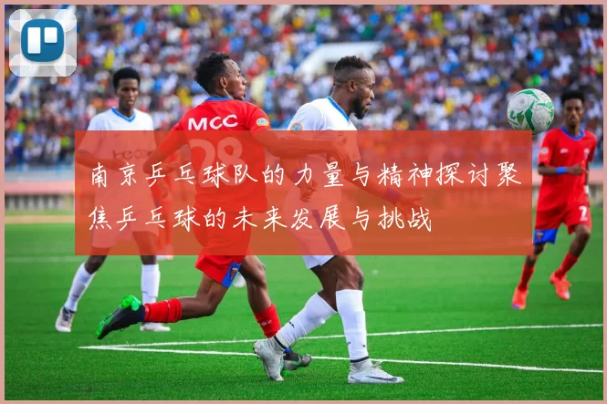 南京乒乓球队的力量与精神探讨聚焦乒乓球的未来发展与挑战